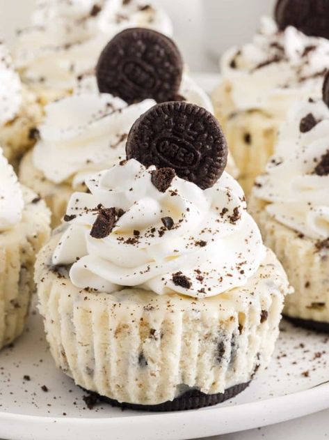 Mini Oreo Cheesecake - girl. Inspired. Mini Oreo Cheesecake Cupcakes, Mini Cheesecake Oreo, Oreo Cheesecake Cupcakes, Mini Oreo Cheesecake, Homemade Oreos, The Girl Who Ate Everything, Cheesecake Layer, Cheesecake Cupcakes, Homemade Whipped Cream