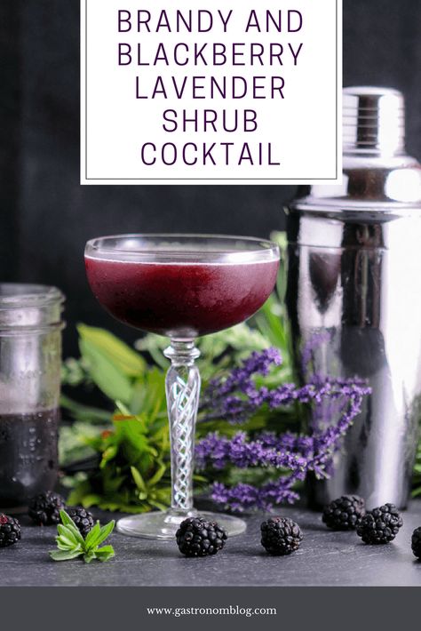 Brandy Blackberry Lavender Shrub Cocktail - shrub, simple syrup, blackberries, vermouth, apple brandy, lemon juice. Great spring and summer cocktail! #blackberries #lemon #cocktail #cocktails #drink #drinks #lavender #applecidervinegar #gastronom Lavender Shrub, Blackberry Shrub, Shrub Drink, Glace Fruit, Blackberry Lavender, Apple Cider Vinegar Water, Shrub Recipe, Best Gin Cocktails, Blackberry Lemon