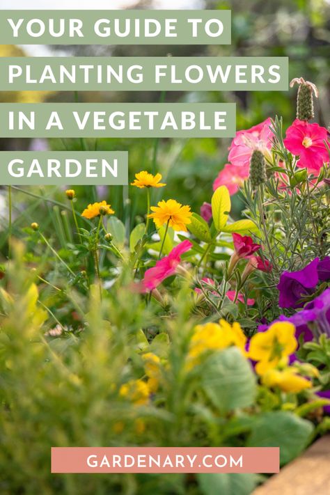 Mixing Flowers And Vegetables, Flower Vegetable Garden, Flowers And Vegetables Planted Together, Cut Flower And Vegetable Garden, Food And Flower Garden, Flowers And Vegetables Together, Companion Flowers For Vegetable Garden, Flowers To Plant Around Vegetable Garden, Flower And Vegetable Garden Layout