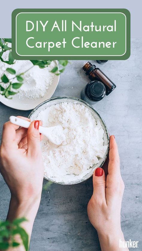 Store-bought cleaners are not very kid- or pet-friendly solutions. Skip the chemicals and give your favorite floor covering a refresh with this homemade dry carpet cleaning powder. Baking soda is the star ingredient here; it deodorizes and absorbs unwanted odors just like it does in the refrigerator. Combine it with essential oils like lemon and tea tree to leave behind a bright, clean scent. Baking Soda Drain Cleaner, Natural Odor Remover, Carpet Diy, All Natural Cleaners, Dry Carpet Cleaning, Baking Powder Uses, Deep Carpet Cleaning, Diy Carpet Cleaner, Carpet Cleaning Solution