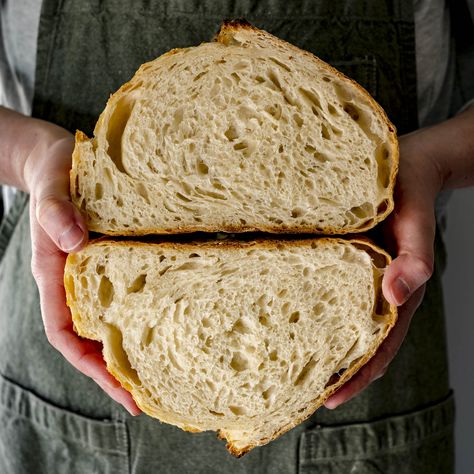 Fluffy Dutch Oven Sourdough Bread (+ Photo Tutorial) | Peak to Plate Fluffy Sourdough Bread, Dutch Oven Sourdough Bread, Dutch Oven Sourdough, Venison Backstrap Recipes, Sourdough Ideas, Backstrap Recipes, Bread Photo, Making Sourdough Bread, Bread Scoring