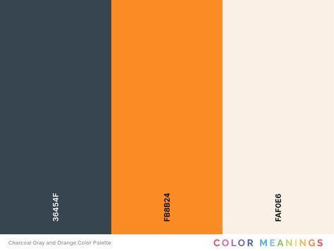 Orange Yellow Gray Color Palette, Grey And Orange Palette, Orange Yellow Black Color Palette, Orange And Gray Color Palette, Gym Colour Palette, Orange And Grey Color Palette, Orange Gray Color Palette, Yellow And Black Color Palette, Orange Black Color Palette