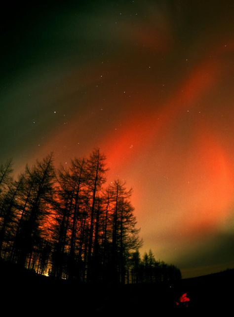 Red Aurora Miraculous Cast, Red Aurora Borealis, Northern Lights Photography, Earth's Magnetic Field, Aurora Borealis Northern Lights, Desktop Wallpaper Pattern, Backdrops Backgrounds, Beautiful Sky, Aurora Borealis