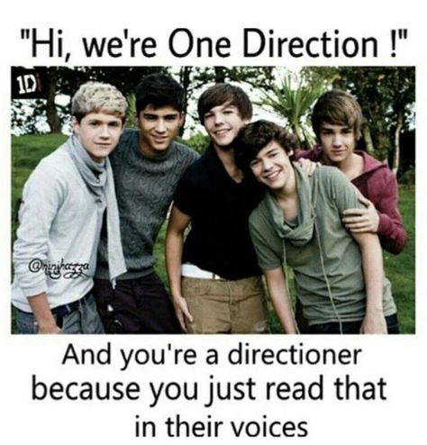 One Direction Collage, One Direction Jokes, One Direction Facts, One Direction Edits, One Direction Images, 1d Funny, Direction Quotes, One Direction Imagines, One Direction Quotes