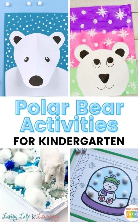 Polar Bear Games For Kids, Bear Activities For Kindergarten, Feed The Polar Bear, Polar Bear Games, Polar Bear Activities, Polar Activities, Polar Bears Activities, Polar Bear Theme, Bear Activities