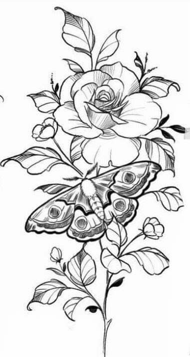 Rose And Moth Tattoo, Moth With Flowers Tattoo, Botanical Sketching, Bisexual Wallpaper, Roses Tattoo, Moth Tattoo, Beautiful Art Paintings, Flower Sketches, Flower Stencil