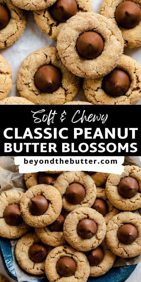 Classic Peanut Butter Blossoms are soft and chewy peanut butter cookies with a sugary, crackled top and finished with a milk chocolate kiss! They're the perfect go-to cookie for the holiday season for good reason—they're easy to make and incredibly delicious! Recipe on BeyondtheButter.com! Peanut Butter Blossoms Recipe, Peanut Butter Blossom, Peanut Butter Dessert Recipes, Butter Blossoms, Peanut Butter Blossom Cookies, Chewy Peanut Butter Cookies, Christmas Baking Recipes, Blossom Cookies, Peanut Butter Blossoms