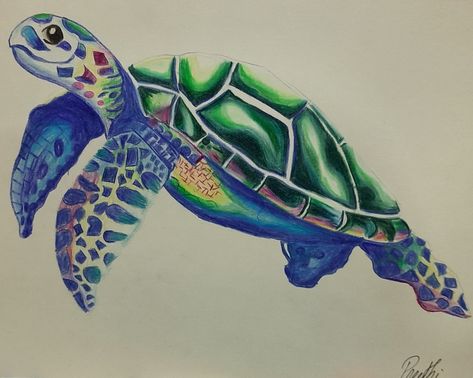 For beginners colour pencils Colour Pencil Art Easy, Turtle Colouring, Colour Pencil Art, Colour Pencil, Art Easy, Color Pencil Art, Pencil Art, Drawing Ideas, Colored Pencils