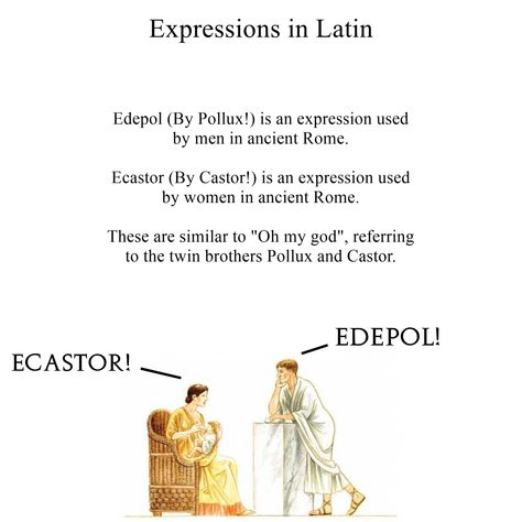 Edepol (By Pollux) was used by men. Ecastor (By Castor) was used my women. These are similar to “Oh my god”, but an ancient Rome version. Castor And Pollux Mythology, Latin Terms Of Endearment, Classical Civilisation, Latin Terms, Intelligent Words, Language Learning Apps, Castor And Pollux, Latin Quotes, Latin Language