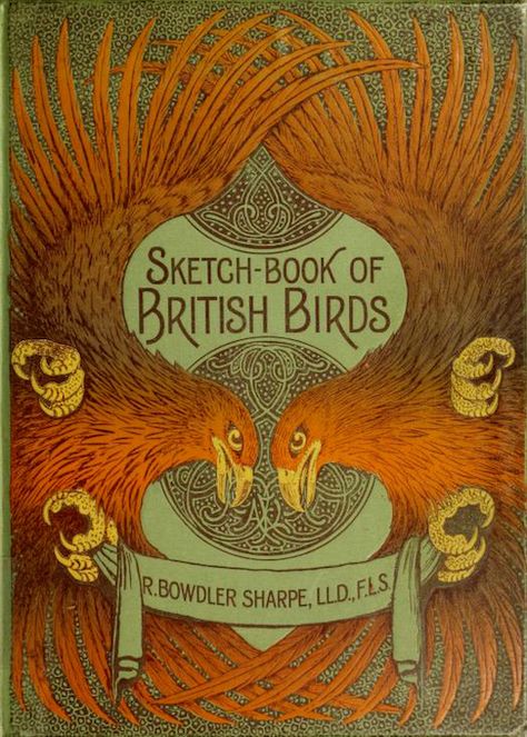 Museum Sketch, Walter Crane, Aubrey Beardsley, British Birds, Artistic Space, Vintage Book Covers, Beautiful Book Covers, Jules Verne, Natural History Museum