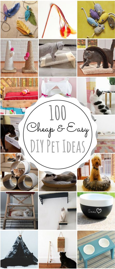 100 Cheap & Easy DIY Pet Projects Diy Pet Ideas, Diy Jouet Pour Chat, Pet Diy Projects, Katt Diy, Katt Grejer, Diy Cat Bed, Kat Diy, Chat Diy, Dogs Diy Projects