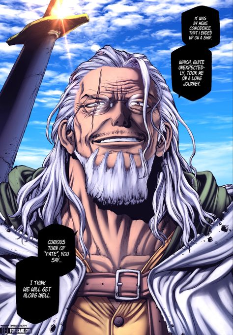 One Piece Reighly, Rayleigh One Piece Manga, Boichi Art One Piece, Boichi One Piece, Rayleigh One Piece Wallpaper, Rayleigh Wallpaper, Silver Rayleigh Wallpaper, Rayleigh One Piece, Silvers Rayleigh