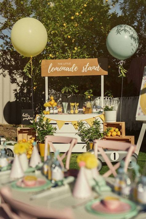 Lemonade Stand from a Vintage Chic Sunshine & Lemonade Party on Kara's Party Ideas | KarasPartyIdeas.com (36) Lemonade Stand Birthday, Lemonade Stand Party, Lemon Themed Party, Diy Lemonade Stand, Diy Lemonade, Lemon Themed Bridal Shower, Pink Lemonade Party, Sunshine Birthday Parties, Event Planning Services