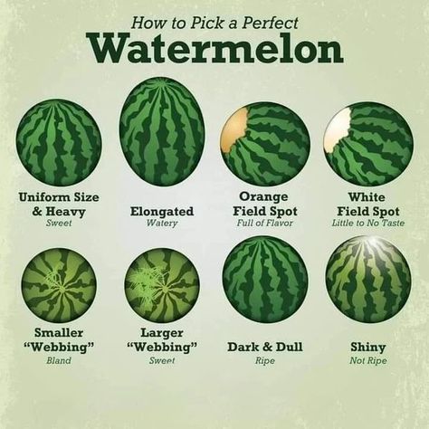 Watermelon Ripeness, How To Store Watermelon, Perfect Watermelon, Food Fusion, Garlic Scapes, Food Facts, Summer Dinner, Indian Cooking, Sweet Fragrances