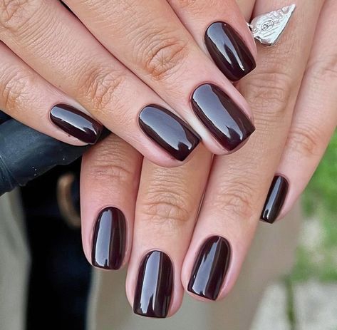 Short Dark Colored Acrylic Nails, Dark Rose Gold Nails, Fall Plain Nails, Dark Chocolate Nails, Brown Autumn Nails, Dark Brown Nails, November Nails Colors, Dark Color Nails, Dark Gel Nails