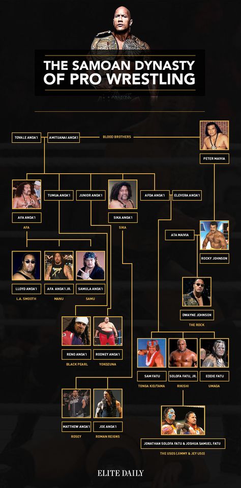 Samoan Strength: The Rock’s Family Tree Is A Wrestling Dynasty (Photo) Dwayne Johnson Family, Wwe The Rock, Roman Reigns Family, Rock Family, Wwe Superstar Roman Reigns, Wwe Legends, Wwe World, Wwe Roman Reigns, The Rock Dwayne Johnson