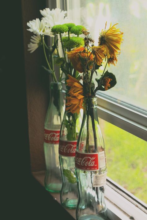 Glass Coke Bottle Crafts, Coke Bottle Flowers, Coke Bottle Decor, Plants In Coke Bottles, Glass Coke Bottle Ideas, Coke Bottle Aesthetic, Coke Bottle Crafts, Coke Can Crafts, Vintage Coke Bottle Aesthetic