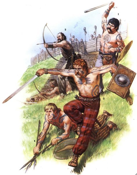 Belgae light infantry Celt.1st century BC- 1st  century AD-Angus McBride. Warriors Illustration, Historical Warriors, Celtic Warriors, Ancient Celts, Celtic Culture, Ancient Warfare, Celtic Mythology, 1st Century, Celtic Art