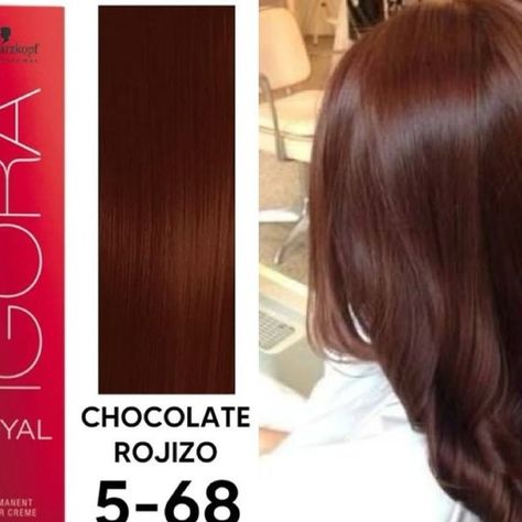 Pelo Chocolate Claro, Brown Reddish Hair, Castaño Chocolate, Chocolate Claro, Brown Hair Tones, Igora Vibrance, Hairdos For Short Hair, Hair Inspiration Color, Cut My Hair