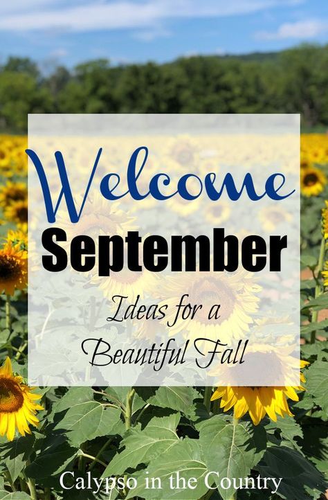 September Home Decor Ideas, September Decorations, Early Fall Decorating, September Decor, September Crafts, Welcome September, Sunflower Home Decor, Diy Porch Decor, Flowers Sunflowers