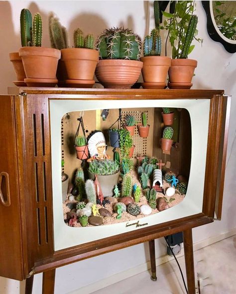 Tv Terrarium, Odd Decor, Plants House, Casa Vintage, Diy Wooden Projects, Plants Decor, Diy Bar, House Plants Decor, Wooden Projects