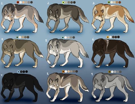 Natural Wolf Adoptables: CLOSED by Nature-Ridge-Adopts Wolf Markings, Wolf Adoptables, Drawing Animations, Drawing Wolves, Character Design Teen, Anime Wolves, Anime Wolf Drawing, Wolf Designs, Cartoon Wolf