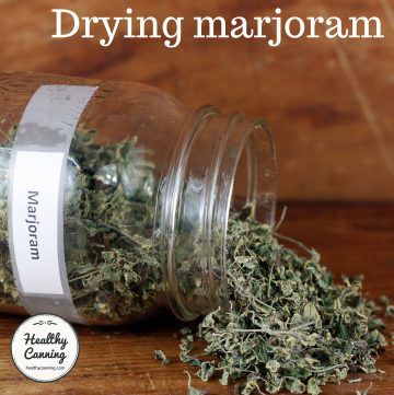 Marjoram Plant, Dehydrated Potato Flakes, Healthy Canning, Dehydrated Food Recipes, Dehydrate Potatoes, Master Gardener Program, Easy Herbs To Grow, Potato Flakes, Salad Spinner