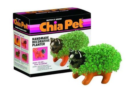 Products Sold Only During the Christmas Holiday Pet Grass, Chia Pet, Cat Grass, Handmade Planter, Seed Pack, Unique Pottery, Pet Kitten, Decorative Planters, Pottery Planters