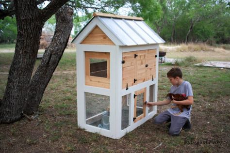 DIY Small Chicken Coop – The Inspired Workshop Plans For Chicken Coop, Diy Small Chicken Coop, Cool Chicken Coop, Pallet Backyard, Chicken Coop Layout, Decorating Backyard, Coop Layout, Small Chicken Coop, Chicken Coop Designs Diy