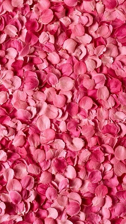 !live freely! Red Rose Petals, Muslin Backdrops, Valentine Photography, Floral Backdrop, Pink Petals, Custom Backdrop, Flower Backdrop, Everything Pink, Photography Backdrop