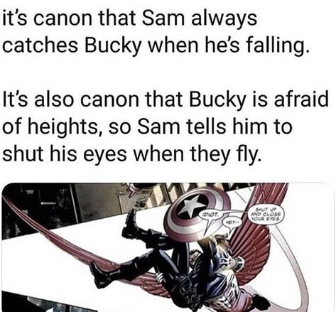 Sam Bucky Fanart, Sam X Bucky Fanart, Sam And Bucky Fanart, Bucky X Sam, Sam X Bucky, Bucky Natasha, Steve X Bucky, Avengers Humor, Dc Memes