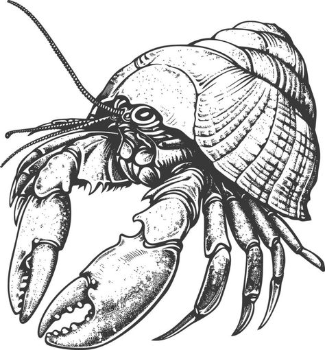 Hermit crab animal with engraving style black color only Hermit Crab Drawing, Crab Animal, Crab Drawing, Ink Patterns, Flash Ideas, Hermit Crabs, The Hermit, Hermit Crab, Mom Art