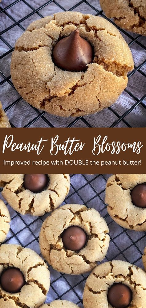 The Very Best Peanut Butter Blossoms Cookies Best Peanut Butter Blossoms, Peanut Butter Blossoms Cookies, Peanut Butter Hershey Kiss Cookies, Blossoms Cookies, Peanut Blossom Cookies, Hershey Kiss Cookies, Peanut Butter Kiss, Brownie Treats, Peanut Butter Blossom