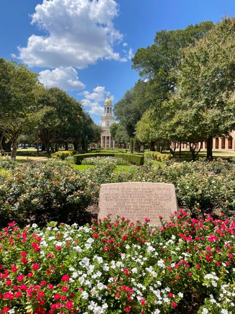 Baylor University Aesthetic, Baylor University Logo, Romanticizing College, College Vibes, College Goals, College Vision Board, Dream Collage, Grad Pictures, 9 Lives