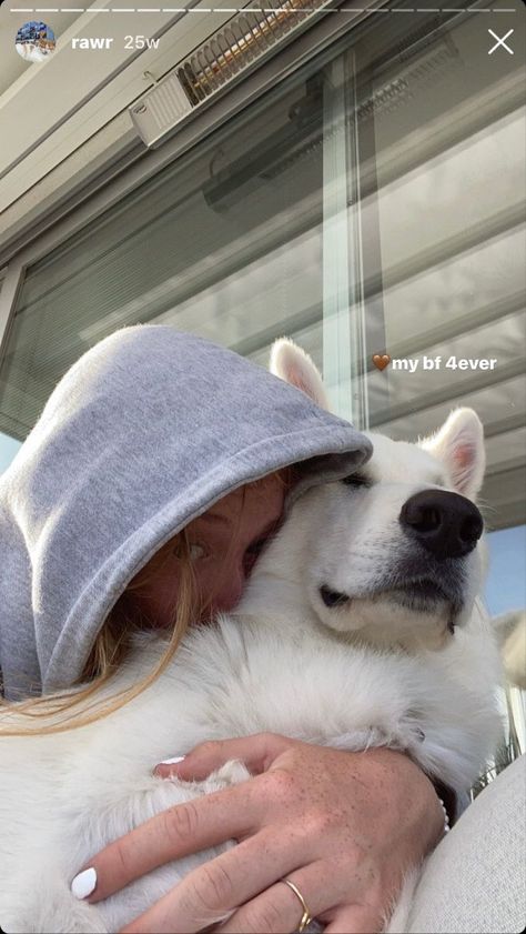 dog aestetic dogselfie instagram story Dog Story Instagram Idea, Cute Dog Instagram Stories, Dogs Pictures Ideas, Dog Aesthetic Instagram Story, Pictures With Dogs Instagram, Puppy Story Ideas, Insta Dog Stories, Instagram Story Dog Ideas, Dog Insta Story Ideas