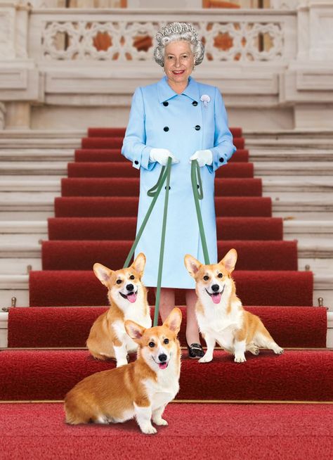 Queen Elizabeth II Corgi Queen, Ratu Elizabeth, Prințesa Diana, Corgi Funny, Corgi Butts, Elisabeth Ii, Corgi Puppy, Queen Of England, Cute Corgi