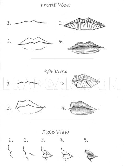 Men Lips, Realistic Tutorial, Lips Draw, Realistic Lips, Sketch Realistic, How To Draw Lips, Draw Men, Step By Step Sketches, Image Drawing