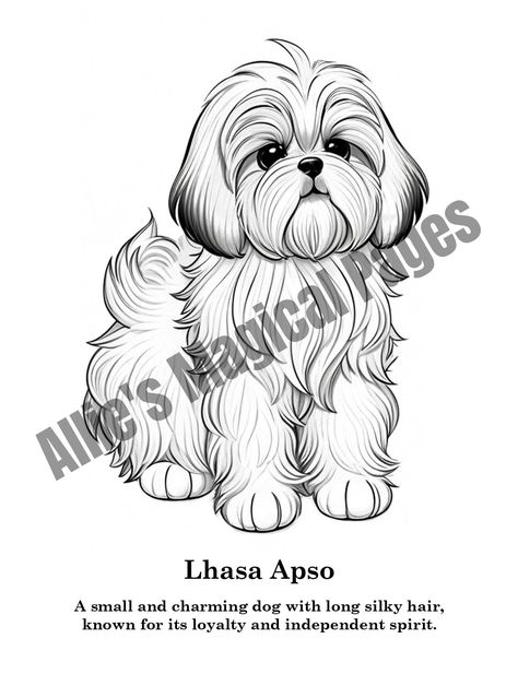 Lhasa Apso - 50 Dog Breeds with Facts: Cute and Educational Coloring Book for Kids Ages 4-8 Coloring Book Page Sketch Drawing Lhasa Apso Tattoo, Lhasa Apso Tattoo Outline, Lhasa Apso Drawing, Yorkie Coloring Pages, Coloring Pages Dogs Free Printable, Lhasa Apso Puppies, Cat And Dog Coloring Pages, Dog Clip Art Black And White, Wrist Band