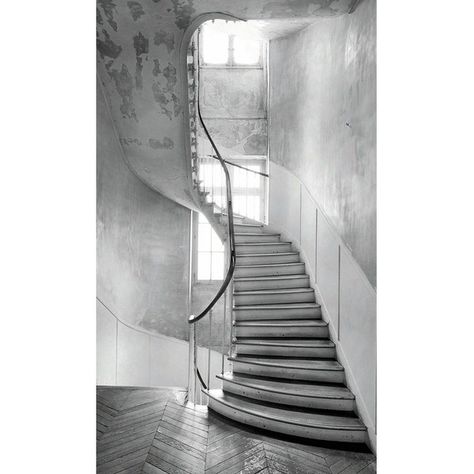 MAISON MARGIELA Trompe-L'oeil "Spiral Staircase" Sticker (5.430 ARS) ❤ liked on Polyvore featuring home, home decor, office accessories, grey and maison margiela Maison Margiela Wallpaper, Margiela Wallpaper, Staircase Decals, Curved Staircase, Spiral Staircase, Martin Margiela, Shop Interior, Luxury Shop, Objects Design