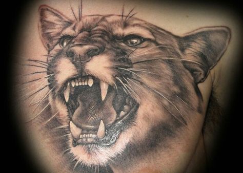 Mountain lion Forbidden Tattoo, Mountain Lion Tattoo, Cougar Tattoo, Mountain Lion Art, Puma Tattoo, Human Skull Drawing, Siren Tattoo, Tattoos Animals, New Tattoo Ideas