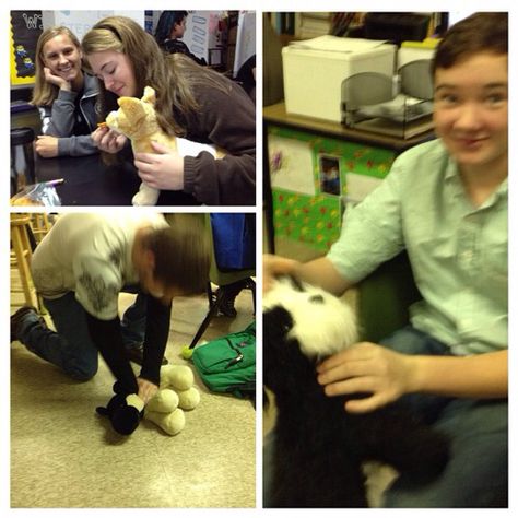 Small animal first aid using stuffed animals. Ledford FFA - www.OneLessThing.net Small Animal Management Lessons, Ffa Projects, Agriculture Classroom, Vet Science, Animal Management, Ag Classroom, Teach Ag, Ag Science, Ag Education