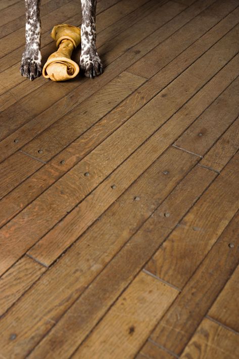 Fast Fixes for Floor Scratches Mineral Spirits, Wood Filler, Dog Nails, This Old House, Furniture Wood, Engineered Hardwood Flooring, Dark Stains, Dog Boarding, Floor Finishes