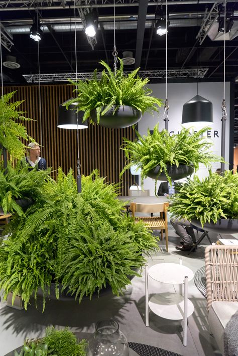 Plant Trends from IMM 2017 in Cologne Hanging Plants Ideas, Indoor Plants Styling, Plants Ideas, Hanging Plants Indoor, Indoor Gardens, Plant Ideas, Interior Plants, Office Plants, Hanging Plant