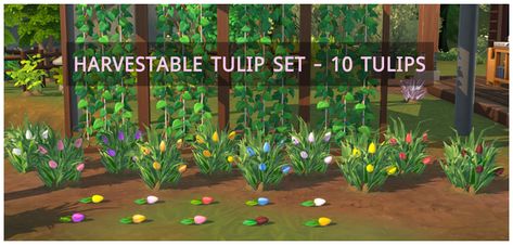 Harvestable Tulip Set | Patreon Grocery Market, Custom Recipe, Marigold Flower, Yellow Tulips, Seed Packets, Sims 4 Cc, Craft Sale, Sims 4 Mods, The Sims 4