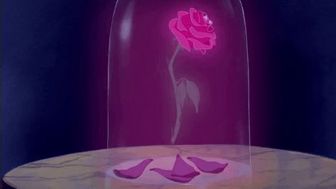 Wallpaper Rosa, Disney Icons, Prințese Disney, Enchanted Rose, Disney Princes, Old Disney, Pixar Movies, Disney Beauty And The Beast, Disney Aesthetic