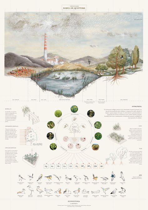 Landscape Architecture Poster Layout, Masterplan Architecture Concept, Landscape Architecture Presentation Board, Animal Research Project, Architecture Trees, Landscape Diagram, Landscape Architecture Diagram, Landscape Architecture Graphics, Architecture Design Presentation