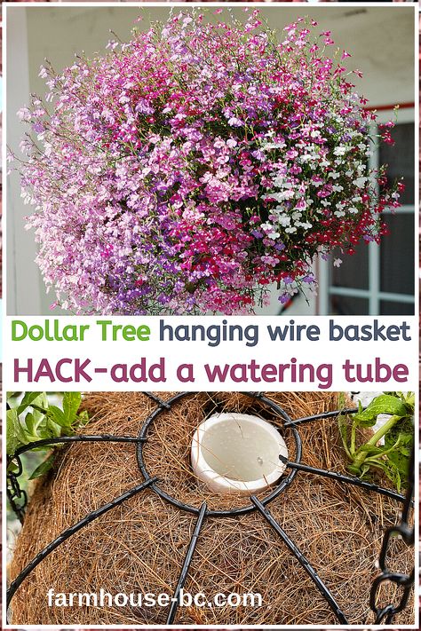 Garden Flowers - We will save you many hours of searching. Just click to visit and get what you need IMMEDIATELY! Hanging Plant Ideas, Hanging Baskets Diy, Hanging Plants Outdoor, Hanging Wire Basket, Hanging Flower Baskets, Container Gardening Flowers, Plants For Hanging Baskets, Hanging Flower Pots, Flower Pots Outdoor