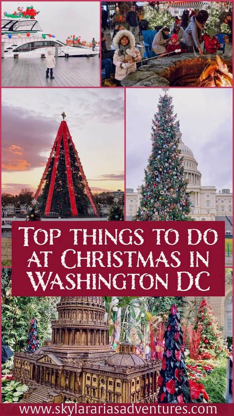 Christmas In Dc, Washington Christmas, Washington Dc Christmas, Things To Do In Dc, Dc Christmas, Washington Dc With Kids, Christmas In America, Christmas Things To Do, Christmas Destinations