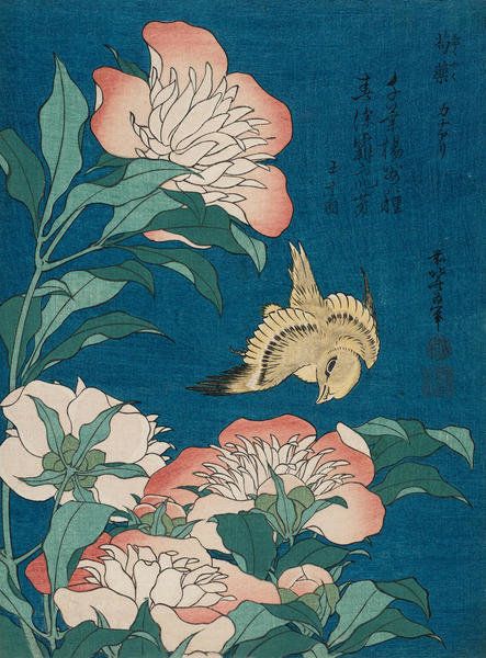 Peonies and Canary (Shakuyaku, kanaari), about 1834 by Katsushika Hokusai - Paper Print - MFA Prints On-Demand - Custom Prints and Framing From the Museum of Fine Arts, Boston Crane Painting, Hokusai Paintings, Japanese Bird, Ohara Koson, Kunsthistorisches Museum, Katsushika Hokusai, Bird Art Print, Japanese Flowers, Art Japonais