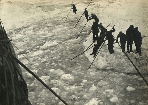 Extraordinary 1915 Photos from Ernest Shackleton’s Disastrous Antarctic Expedition | HISTORY Endurance Ship, Shackleton Endurance, Ernest Shackleton, South Georgia Island, Heroic Age, Rare Historical Photos, Cambridge University, Epic Journey, Research Institute